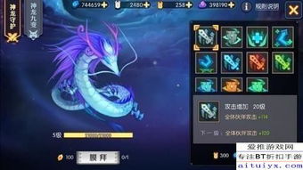 变神龙的游戏攻略大全(神龙变幻是什么意思)