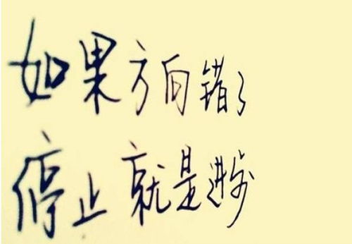 转身你别跑游戏攻略大全(别转身语录) 第1张