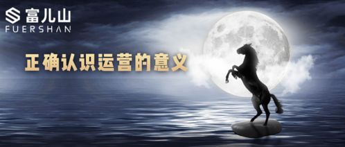 红尘摆渡游戏攻略大全视频(摆渡红尘是什么意思啊)